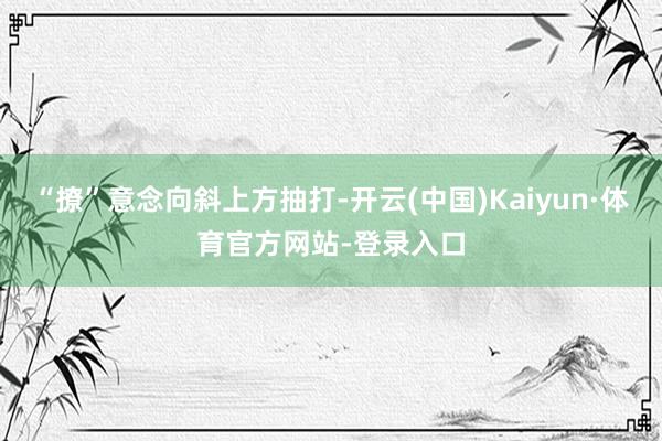 “撩”意念向斜上方抽打-开云(中国)Kaiyun·体育官方网站-登录入口