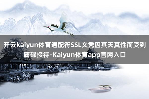 开云kaiyun体育通配符SSL文凭因其天真性而受到庸碌接待-Kaiyun体育app官网入口