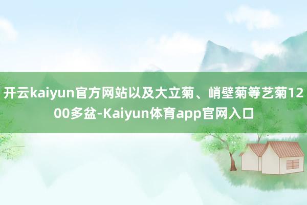 开云kaiyun官方网站以及大立菊、峭壁菊等艺菊1200多盆-Kaiyun体育app官网入口