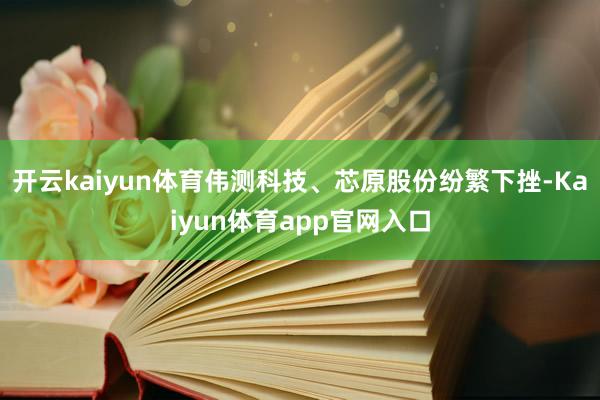 开云kaiyun体育伟测科技、芯原股份纷繁下挫-Kaiyun体育app官网入口