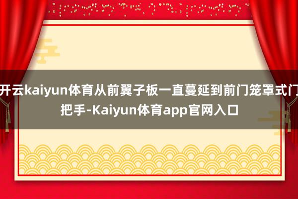 开云kaiyun体育从前翼子板一直蔓延到前门笼罩式门把手-Kaiyun体育app官网入口