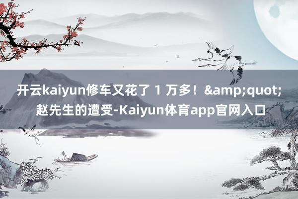 开云kaiyun修车又花了 1 万多！&quot; 赵先生的遭受-Kaiyun体育app官网入口