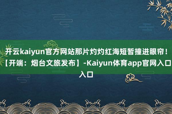 开云kaiyun官方网站那片灼灼红海短暂撞进眼帘！【开端：烟台文旅发布】-Kaiyun体育app官网入口