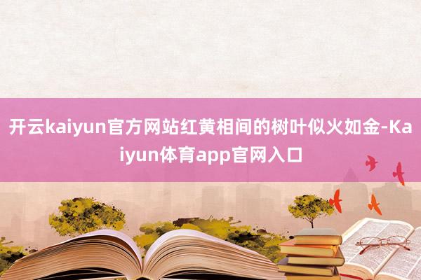 开云kaiyun官方网站红黄相间的树叶似火如金-Kaiyun体育app官网入口