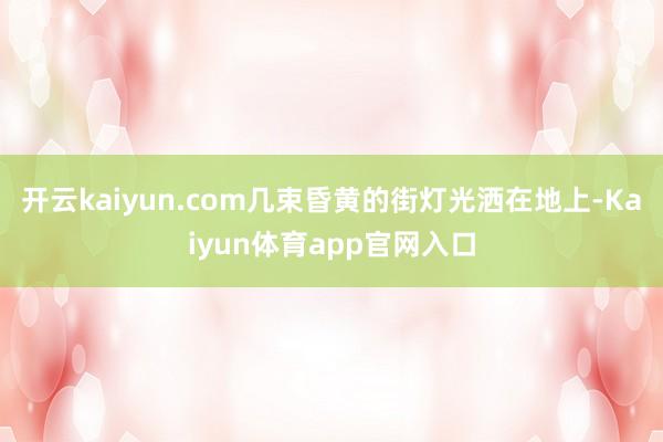 开云kaiyun.com几束昏黄的街灯光洒在地上-Kaiyun体育app官网入口