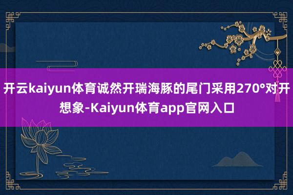 开云kaiyun体育诚然开瑞海豚的尾门采用270°对开想象-Kaiyun体育app官网入口