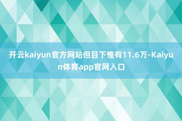 开云kaiyun官方网站但目下惟有11.6万-Kaiyun体育app官网入口