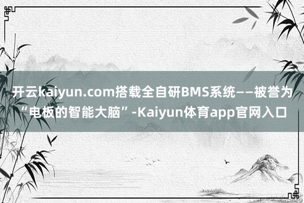 开云kaiyun.com搭载全自研BMS系统——被誉为“电板的智能大脑”-Kaiyun体育app官网入口